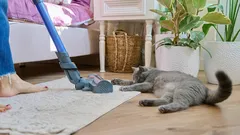 5 tips som hjälper dig att hålla ditt hem städat utan större ansträngning