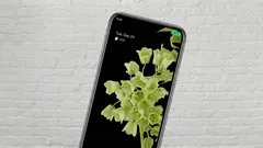 En grön prick tändes plötsligt på min telefonskärm: borde jag vara orolig?